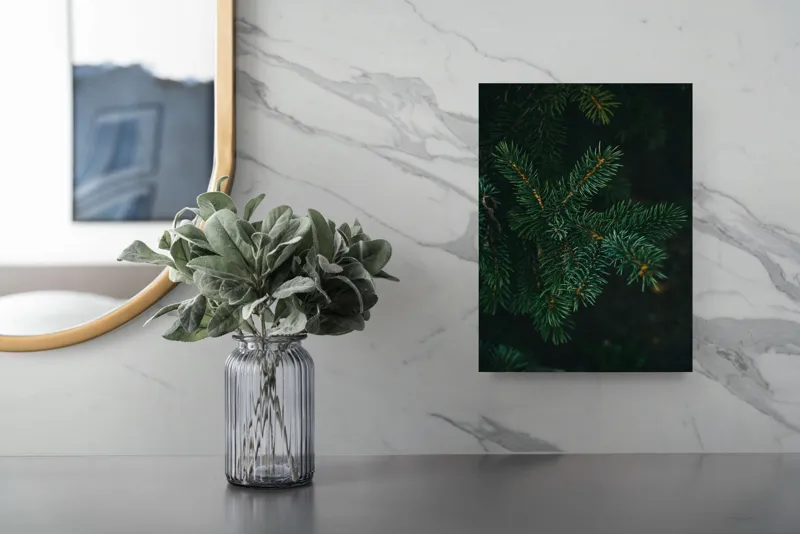 Tablou Canvas, "Crenguțe de brad în întuneric", Ace, Verde, Frunziș, Întuneric, Natură, Detaliu, Textură, Calm, Mușchi, Organic, 26 x 39 cm – poza 4