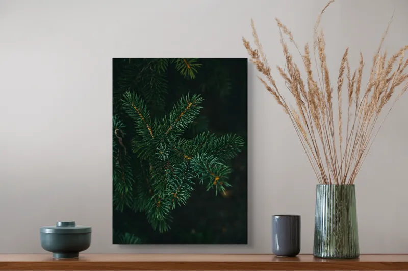 Tablou Canvas, "Crenguțe de brad în întuneric", Ace, Verde, Frunziș, Întuneric, Natură, Detaliu, Textură, Calm, Mușchi, Organic, 39 x 54 cm – poza 3