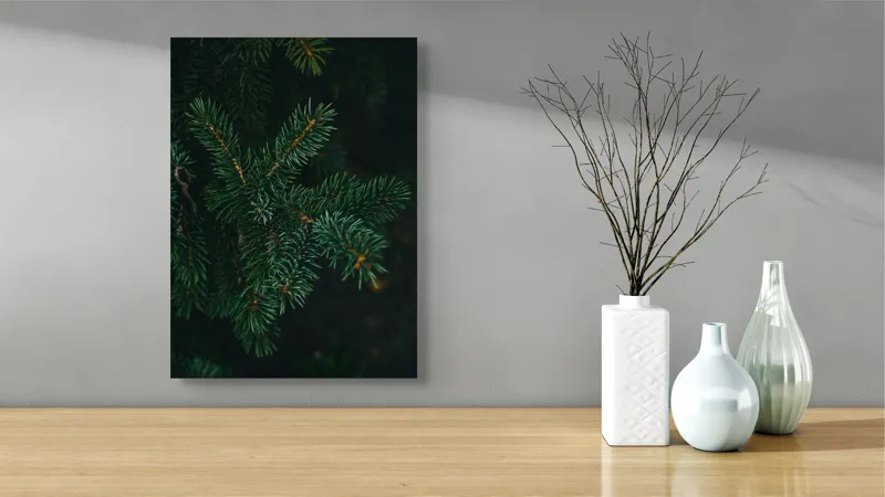 Tablou Canvas, "Crenguțe de brad în întuneric", Ace, Verde, Frunziș, Întuneric, Natură, Detaliu, Textură, Calm, Mușchi, Organic, 39 x 54 cm – poza 4