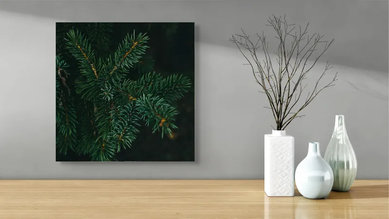 Tablou Canvas, "Crenguțe de brad în întuneric", Ace, Verde, Frunziș, Întuneric, Natură, Detaliu, Textură, Calm, Mușchi, Organic, 50 x 50 cm – poza 3