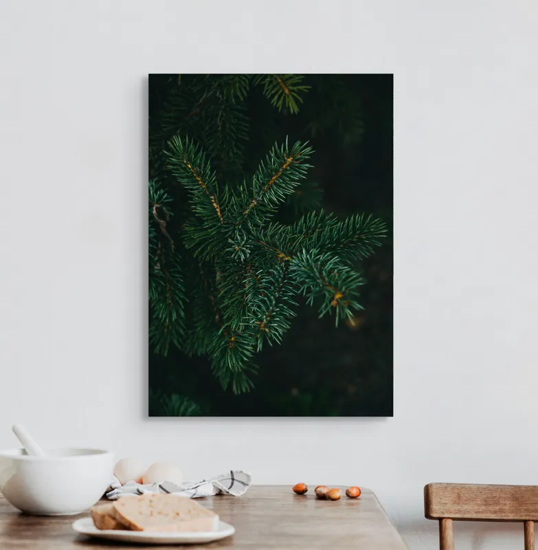 Tablou Canvas, "Crenguțe de brad în întuneric", Ace, Verde, Frunziș, Întuneric, Natură, Detaliu, Textură, Calm, Mușchi, Organic, 50 x 70 cm – poza 3