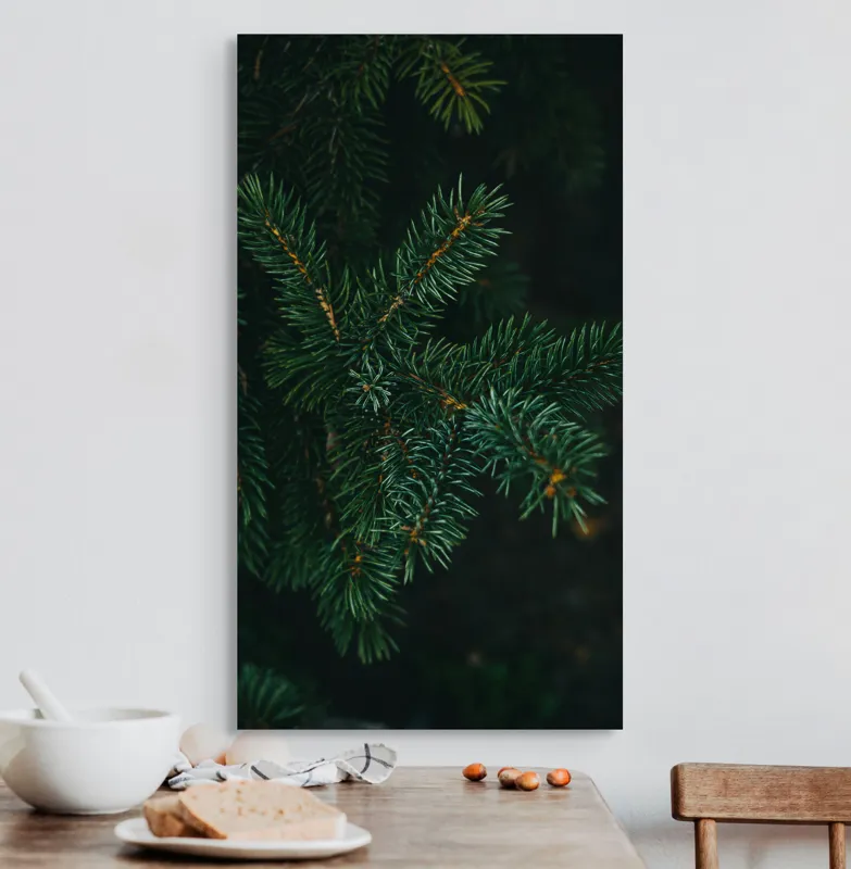Tablou Canvas, "Crenguțe de brad în întuneric", Ace, Verde, Frunziș, Întuneric, Natură, Detaliu, Textură, Calm, Mușchi, Organic, 50 x 90 cm – poza 3