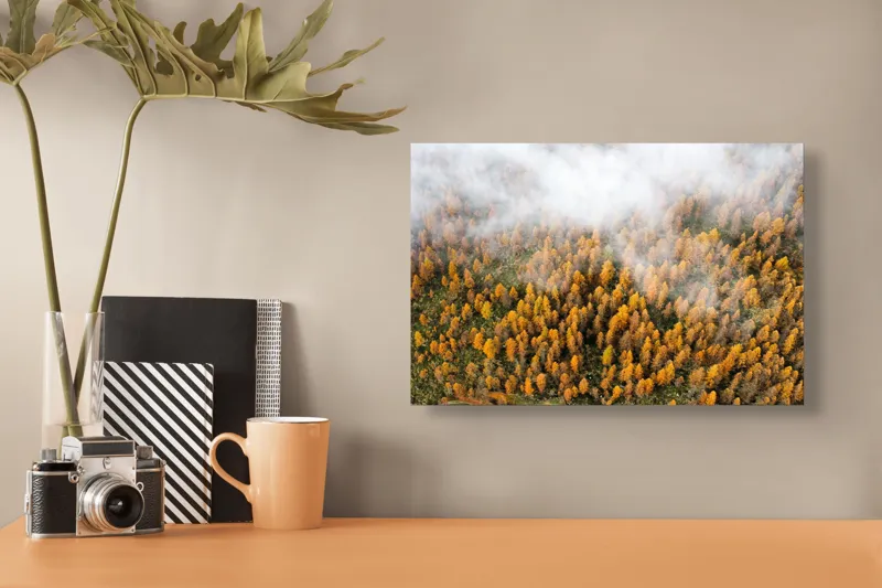 Tablou Canvas, "Pădurea colorată de toamnă în ceață", Copaci, Toamnă, Ceață, Culori, Natură, Pădure, Aurii, 39 x 26 cm – poza 3