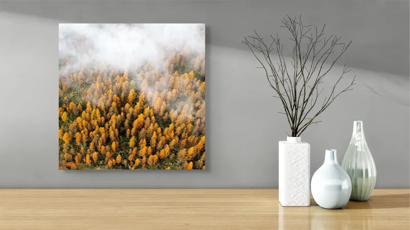 Tablou Canvas, "Pădurea colorată de toamnă în ceață", Copaci, Toamnă, Ceață, Culori, Natură, Pădure, Aurii, 50 x 50 cm – poza 3