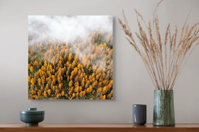 Tablou Canvas, "Pădurea colorată de toamnă în ceață", Copaci, Toamnă, Ceață, Culori, Natură, Pădure, Aurii, 50 x 50 cm – poza 4