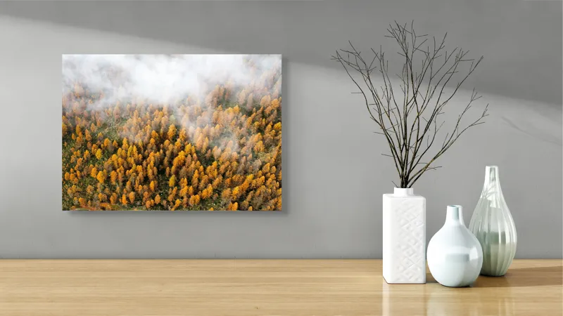 Tablou Canvas, "Pădurea colorată de toamnă în ceață", Copaci, Toamnă, Ceață, Culori, Natură, Pădure, Aurii, 54 x 39 cm – poza 3