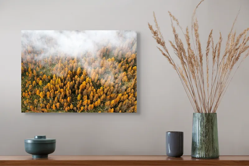 Tablou Canvas, "Pădurea colorată de toamnă în ceață", Copaci, Toamnă, Ceață, Culori, Natură, Pădure, Aurii, 54 x 39 cm – poza 4
