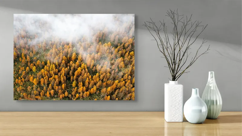 Tablou Canvas, "Pădurea colorată de toamnă în ceață", Copaci, Toamnă, Ceață, Culori, Natură, Pădure, Aurii, 70 x 50 cm – poza 3