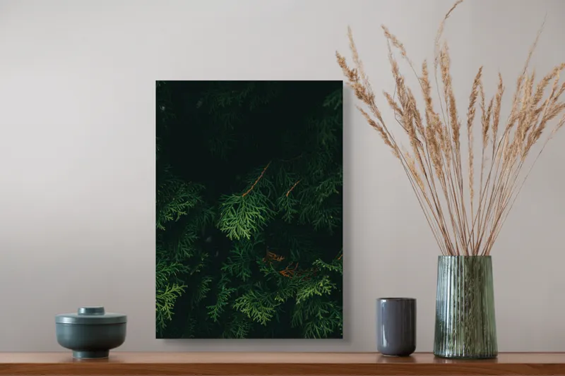 Tablou Canvas, "Verdele ascuns în tăcerea pădurii", Verde, Frunziș, Întuneric, Natura, Mister, Umbre, Textură, Rămuriș, 39 x 54 cm – poza 3