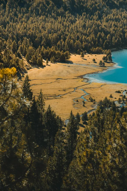 Tablou Canvas, "Pădurea tăcută lângă lac albastru", Pădure, Lac, Toamnă, Munți, Peisaj, Apă, Natură, Culori, Râu, Lumină, 26 x 39 cm – poza 2