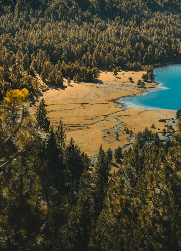 Tablou Canvas, "Pădurea tăcută lângă lac albastru", Pădure, Lac, Toamnă, Munți, Peisaj, Apă, Natură, Culori, Râu, Lumină, 39 x 54 cm – poza 2
