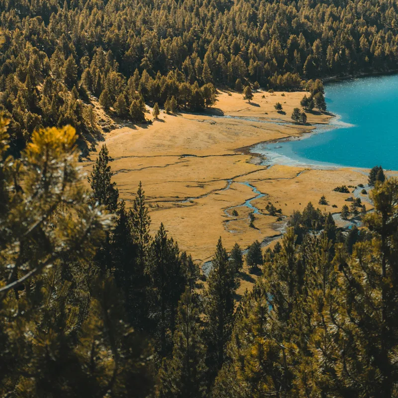 Tablou Canvas, "Pădurea tăcută lângă lac albastru", Pădure, Lac, Toamnă, Munți, Peisaj, Apă, Natură, Culori, Râu, Lumină, 50 x 50 cm – poza 2