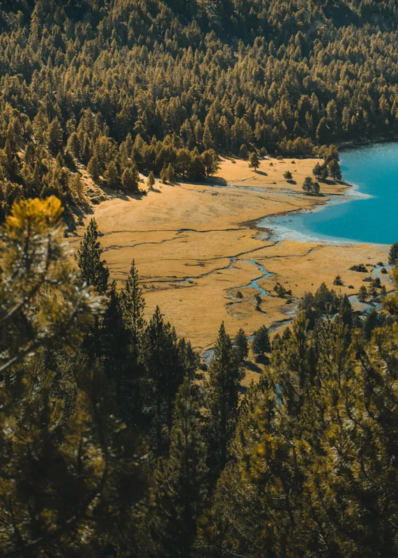 Tablou Canvas, "Pădurea tăcută lângă lac albastru", Pădure, Lac, Toamnă, Munți, Peisaj, Apă, Natură, Culori, Râu, Lumină, 50 x 70 cm – poza 2