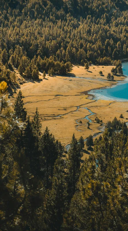 Tablou Canvas, "Pădurea tăcută lângă lac albastru", Pădure, Lac, Toamnă, Munți, Peisaj, Apă, Natură, Culori, Râu, Lumină, 50 x 90 cm – poza 2