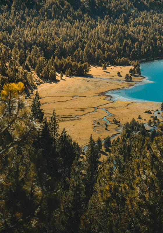Tablou Canvas, "Pădurea tăcută lângă lac albastru", Pădure, Lac, Toamnă, Munți, Peisaj, Apă, Natură, Culori, Râu, Lumină, 70 x 100 cm – poza 2
