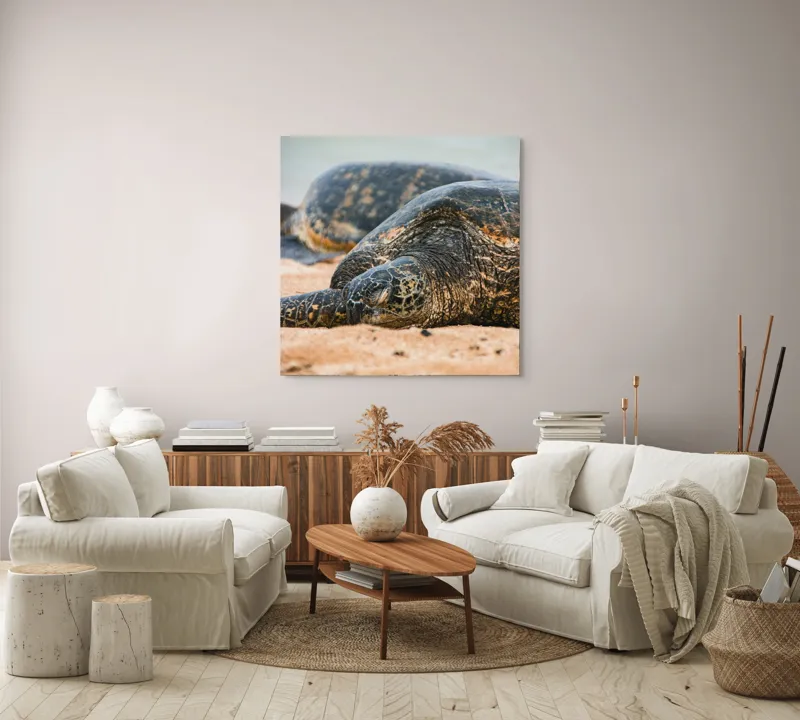 Tablou Canvas, "Bătrânețea liniștită a țestoaselor marine", Broască Țestoasă, Plajă, Relaxare, Natură, Nisip, Apă, Sălbăticie, 100 x 100 cm – poza 3
