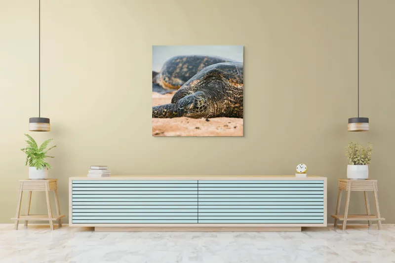 Tablou Canvas, "Bătrânețea liniștită a țestoaselor marine", Broască Țestoasă, Plajă, Relaxare, Natură, Nisip, Apă, Sălbăticie, 100 x 100 cm – poza 5