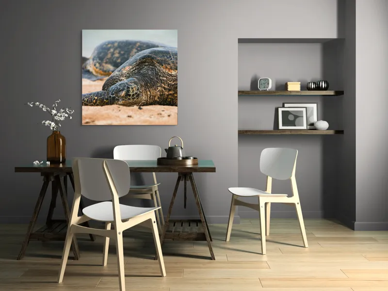 Tablou Canvas, "Bătrânețea liniștită a țestoaselor marine", Broască Țestoasă, Plajă, Relaxare, Natură, Nisip, Apă, Sălbăticie, 100 x 100 cm – poza 6