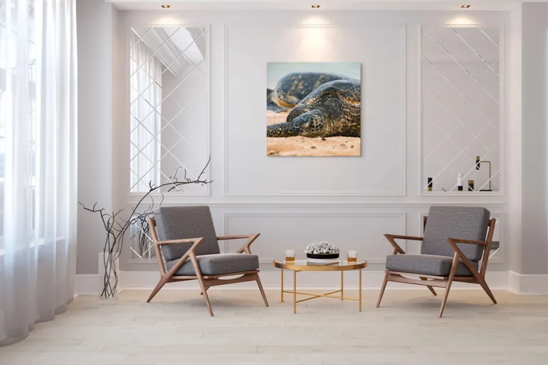 Tablou Canvas, "Bătrânețea liniștită a țestoaselor marine", Broască Țestoasă, Plajă, Relaxare, Natură, Nisip, Apă, Sălbăticie, 100 x 100 cm – poza 7