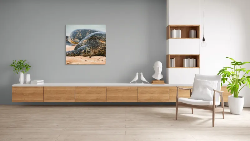 Tablou Canvas, "Bătrânețea liniștită a țestoaselor marine", Broască Țestoasă, Plajă, Relaxare, Natură, Nisip, Apă, Sălbăticie, 100 x 100 cm – poza 8