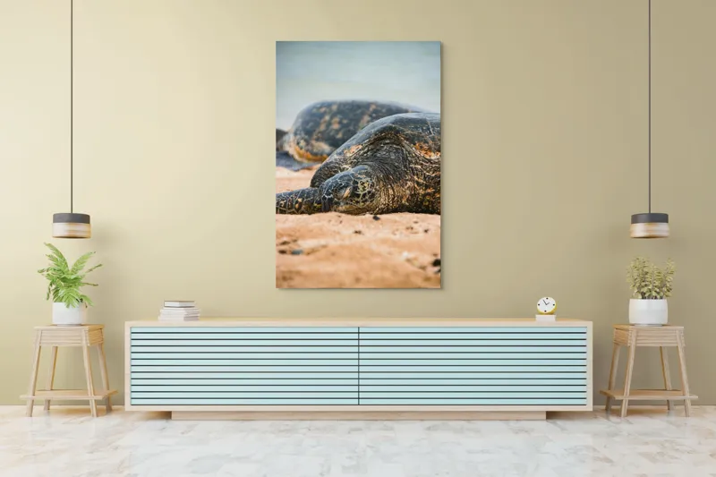 Tablou Canvas, "Bătrânețea liniștită a țestoaselor marine", Broască Țestoasă, Plajă, Relaxare, Natură, Nisip, Apă, Sălbăticie, 100 x 150 cm – poza 4