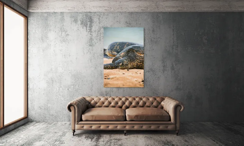Tablou Canvas, "Bătrânețea liniștită a țestoaselor marine", Broască Țestoasă, Plajă, Relaxare, Natură, Nisip, Apă, Sălbăticie, 100 x 150 cm – poza 6
