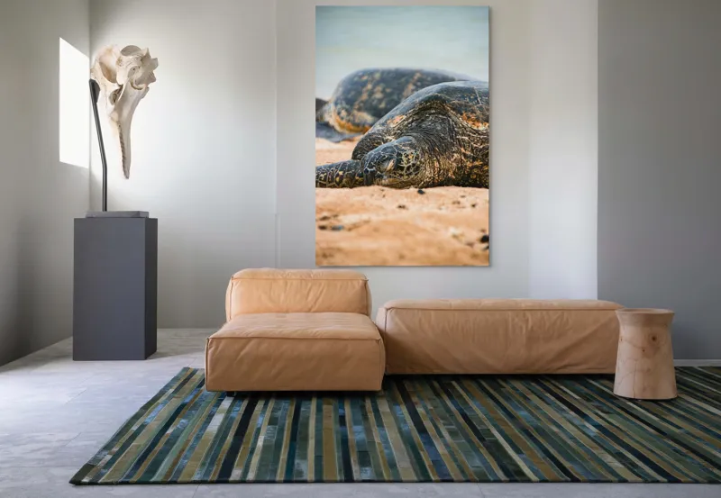 Tablou Canvas, "Bătrânețea liniștită a țestoaselor marine", Broască Țestoasă, Plajă, Relaxare, Natură, Nisip, Apă, Sălbăticie, 100 x 150 cm – poza 7