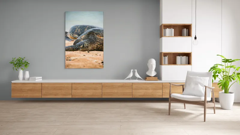 Tablou Canvas, "Bătrânețea liniștită a țestoaselor marine", Broască Țestoasă, Plajă, Relaxare, Natură, Nisip, Apă, Sălbăticie, 100 x 150 cm – poza 8