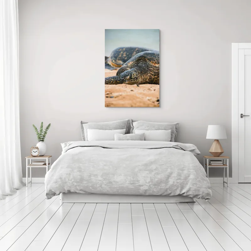 Tablou Canvas, "Bătrânețea liniștită a țestoaselor marine", Broască Țestoasă, Plajă, Relaxare, Natură, Nisip, Apă, Sălbăticie, 70 x 100 cm – poza 3
