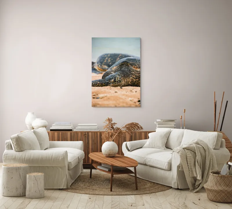 Tablou Canvas, "Bătrânețea liniștită a țestoaselor marine", Broască Țestoasă, Plajă, Relaxare, Natură, Nisip, Apă, Sălbăticie, 70 x 100 cm – poza 4