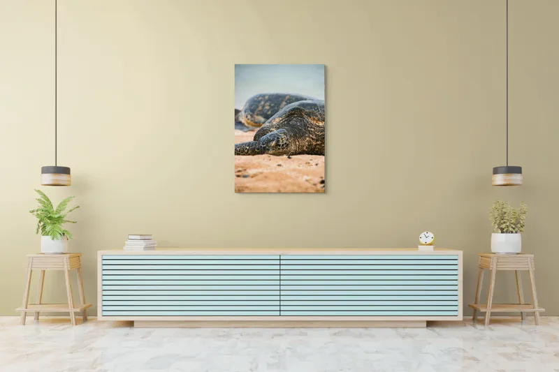 Tablou Canvas, "Bătrânețea liniștită a țestoaselor marine", Broască Țestoasă, Plajă, Relaxare, Natură, Nisip, Apă, Sălbăticie, 70 x 100 cm – poza 5