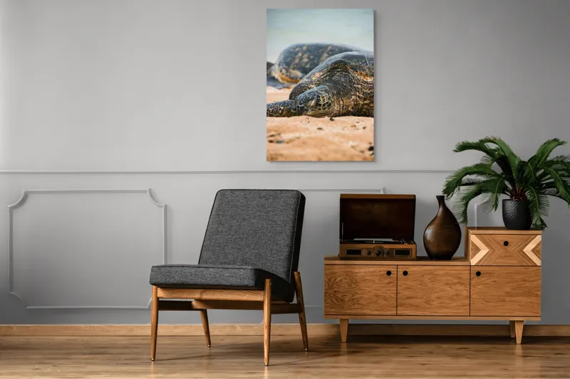 Tablou Canvas, "Bătrânețea liniștită a țestoaselor marine", Broască Țestoasă, Plajă, Relaxare, Natură, Nisip, Apă, Sălbăticie, 70 x 100 cm – poza 6