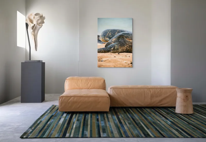 Tablou Canvas, "Bătrânețea liniștită a țestoaselor marine", Broască Țestoasă, Plajă, Relaxare, Natură, Nisip, Apă, Sălbăticie, 70 x 100 cm – poza 7