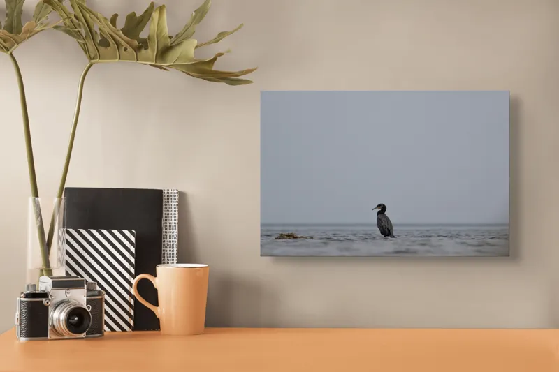 Tablou Canvas, "Cormoran solitar pe valuri liniștite", Pasăre, Apă, Singurătate, Cer Cenușiu, Mal Distant, Liniște, Natură., 39 x 26 cm – poza 3