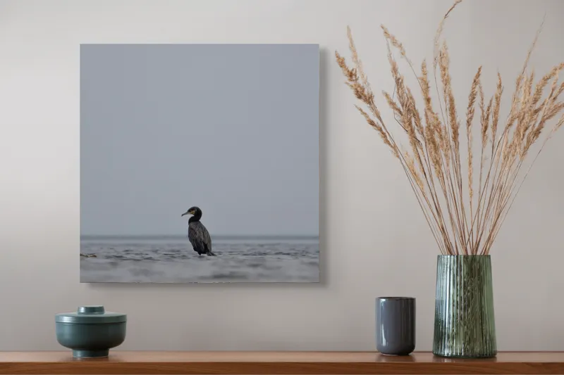 Tablou Canvas, "Cormoran solitar pe valuri liniștite", Pasăre, Apă, Singurătate, Cer Cenușiu, Mal Distant, Liniște, Natură., 50 x 50 cm – poza 4