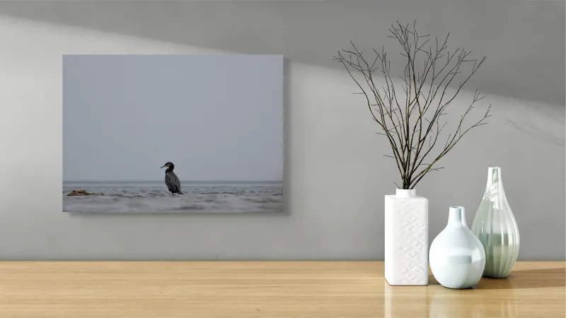 Tablou Canvas, "Cormoran solitar pe valuri liniștite", Pasăre, Apă, Singurătate, Cer Cenușiu, Mal Distant, Liniște, Natură., 54 x 39 cm – poza 3