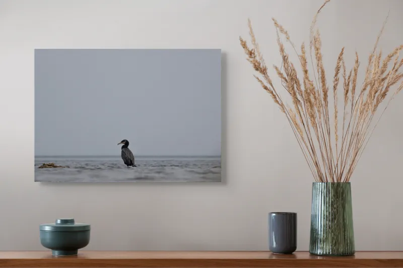 Tablou Canvas, "Cormoran solitar pe valuri liniștite", Pasăre, Apă, Singurătate, Cer Cenușiu, Mal Distant, Liniște, Natură., 54 x 39 cm – poza 4