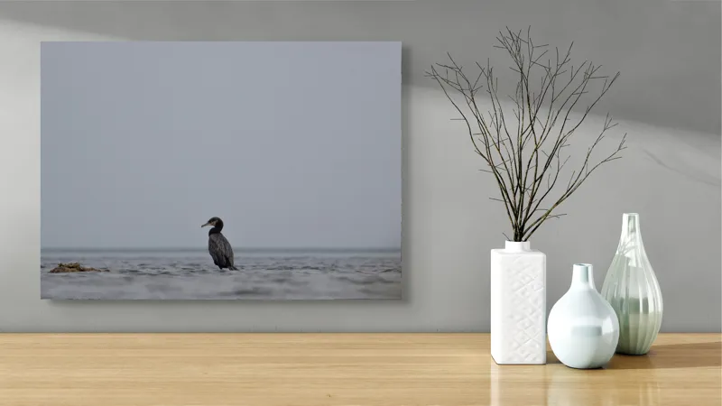 Tablou Canvas, "Cormoran solitar pe valuri liniștite", Pasăre, Apă, Singurătate, Cer Cenușiu, Mal Distant, Liniște, Natură., 70 x 50 cm – poza 3