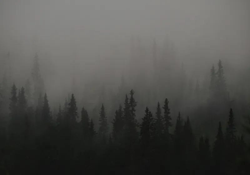 Tablou Canvas, "Ceața misterioasă din pădurea deasă", Ceață, Pădure, Mister, Întunecime, Tăcere, Natură, Enigmă, Umbre, Vârfuri, Melancolie, 100 x 70 cm – poza 2