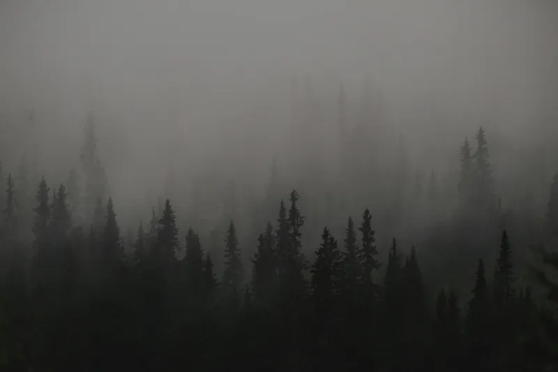 Tablou Canvas, "Ceața misterioasă din pădurea deasă", Ceață, Pădure, Mister, Întunecime, Tăcere, Natură, Enigmă, Umbre, Vârfuri, Melancolie, 150 x 100 cm – poza 2