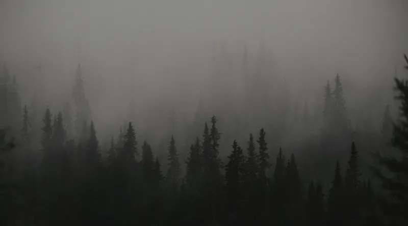 Tablou Canvas, "Ceața misterioasă din pădurea deasă", Ceață, Pădure, Mister, Întunecime, Tăcere, Natură, Enigmă, Umbre, Vârfuri, Melancolie, 90 x 50 cm – poza 2