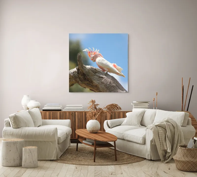 Tablou Canvas, "Cacadu pe creanga sub cer senin", Pene, Creasta, Papagal, Ramură, Cer, Natură, Culoare, 100 x 100 cm – poza 3
