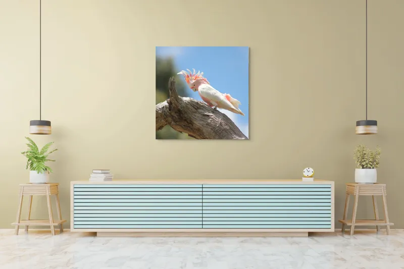 Tablou Canvas, "Cacadu pe creanga sub cer senin", Pene, Creasta, Papagal, Ramură, Cer, Natură, Culoare, 100 x 100 cm – poza 5