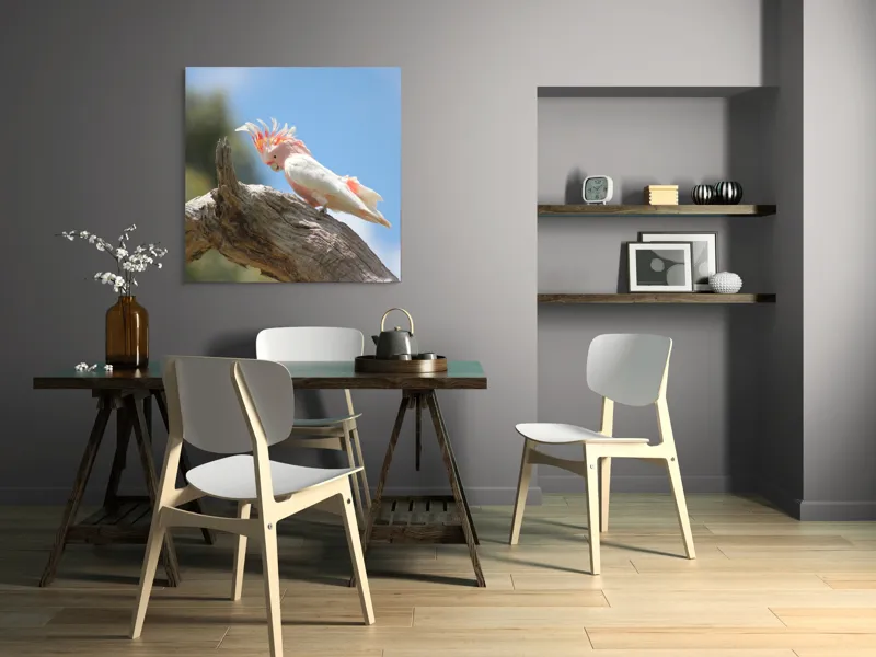 Tablou Canvas, "Cacadu pe creanga sub cer senin", Pene, Creasta, Papagal, Ramură, Cer, Natură, Culoare, 100 x 100 cm – poza 6