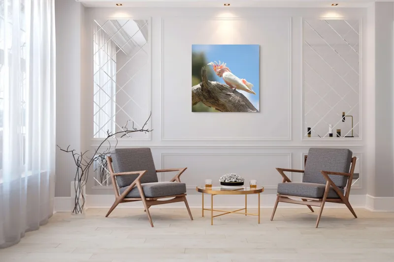 Tablou Canvas, "Cacadu pe creanga sub cer senin", Pene, Creasta, Papagal, Ramură, Cer, Natură, Culoare, 100 x 100 cm – poza 7