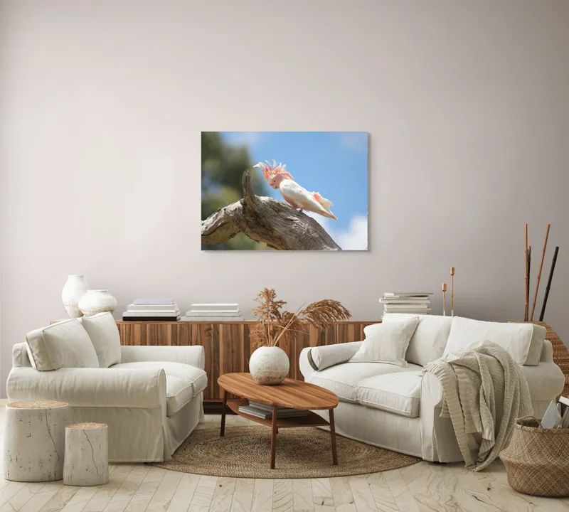 Tablou Canvas, "Cacadu pe creanga sub cer senin", Pene, Creasta, Papagal, Ramură, Cer, Natură, Culoare, 100 x 70 cm – poza 3