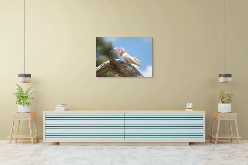 Tablou Canvas, "Cacadu pe creanga sub cer senin", Pene, Creasta, Papagal, Ramură, Cer, Natură, Culoare, 100 x 70 cm – poza 4