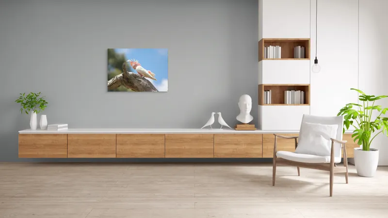 Tablou Canvas, "Cacadu pe creanga sub cer senin", Pene, Creasta, Papagal, Ramură, Cer, Natură, Culoare, 100 x 70 cm – poza 6