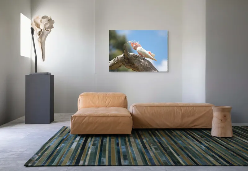Tablou Canvas, "Cacadu pe creanga sub cer senin", Pene, Creasta, Papagal, Ramură, Cer, Natură, Culoare, 100 x 70 cm – poza 7