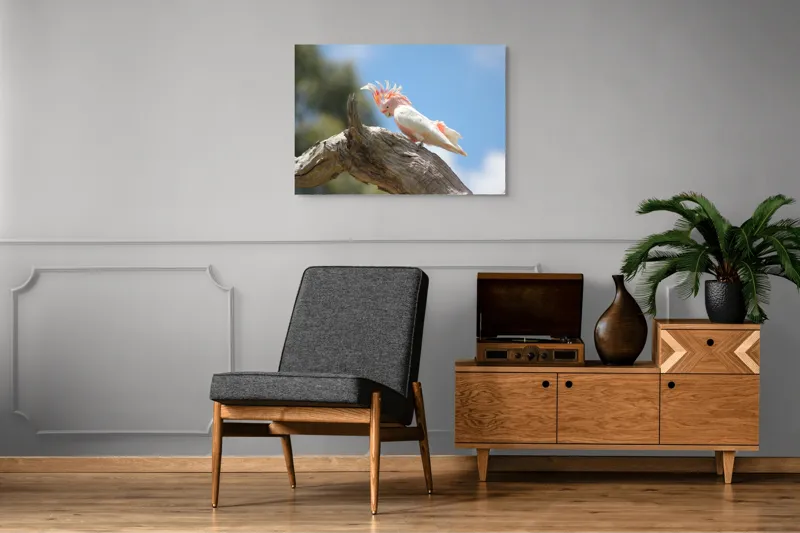 Tablou Canvas, "Cacadu pe creanga sub cer senin", Pene, Creasta, Papagal, Ramură, Cer, Natură, Culoare, 100 x 70 cm – poza 8